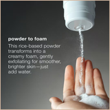 Daily Microfoliant Exfoliator – Brightening Enzyme Powder Scrub