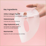 Bio-Collagen Deep Hydration Hydrogel Mask – Pore Care & Firming