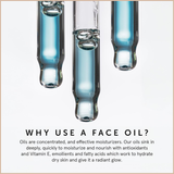 Blue Tansy & Squalane Balancing Facial Oil – Lightweight Moisture Control