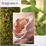 Hydrate Conditioner – Moisture for Dry, Color-Treated Hair