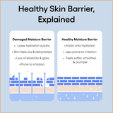 Water Bank Blue Hyaluronic Cream – Moisture Barrier Repair