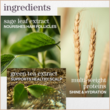 Hydrate Conditioner – Moisture for Dry, Color-Treated Hair